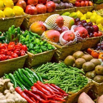 Xuất khẩu nông sản sang EU nắm bắt cơ hội từ EVFTA