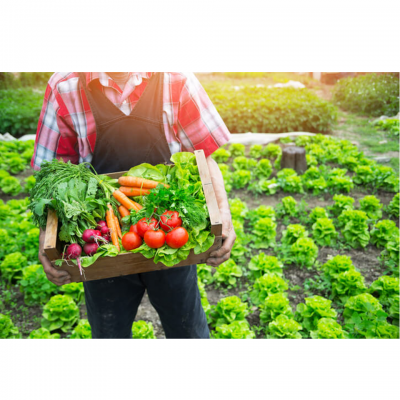 Quy định mới của EU về sản phẩm hữu cơ dành cho các nhà xuất khẩu ngũ cốc, đậu và hạt có dầu